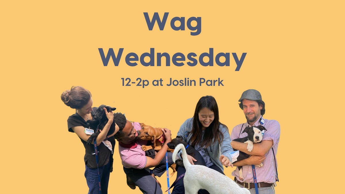 wag wednesday