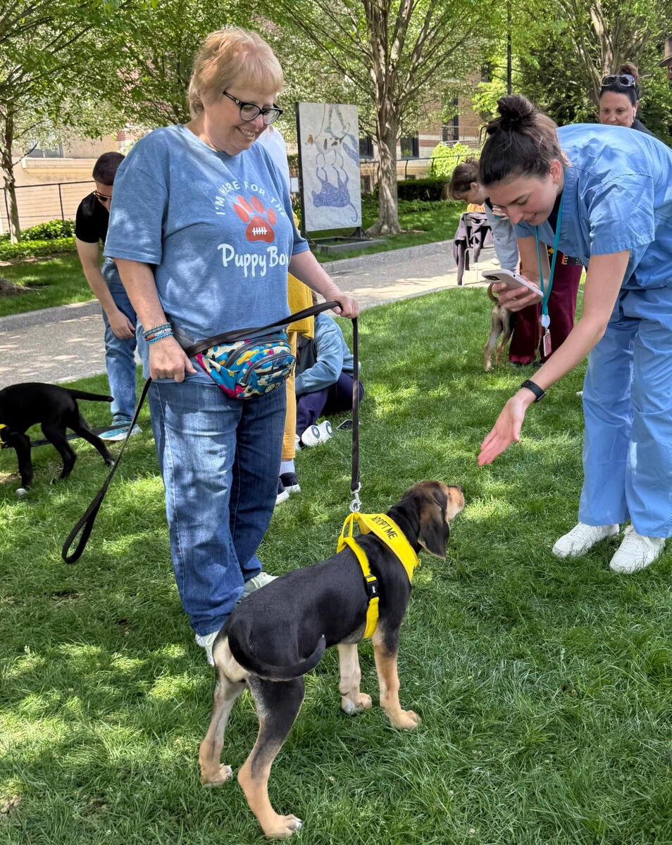 a nurse leans over to pet a puppy 