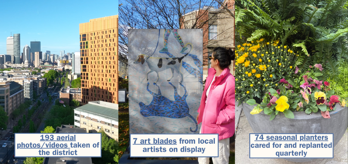 193 aerial, 7 art blades, 74 seasonal