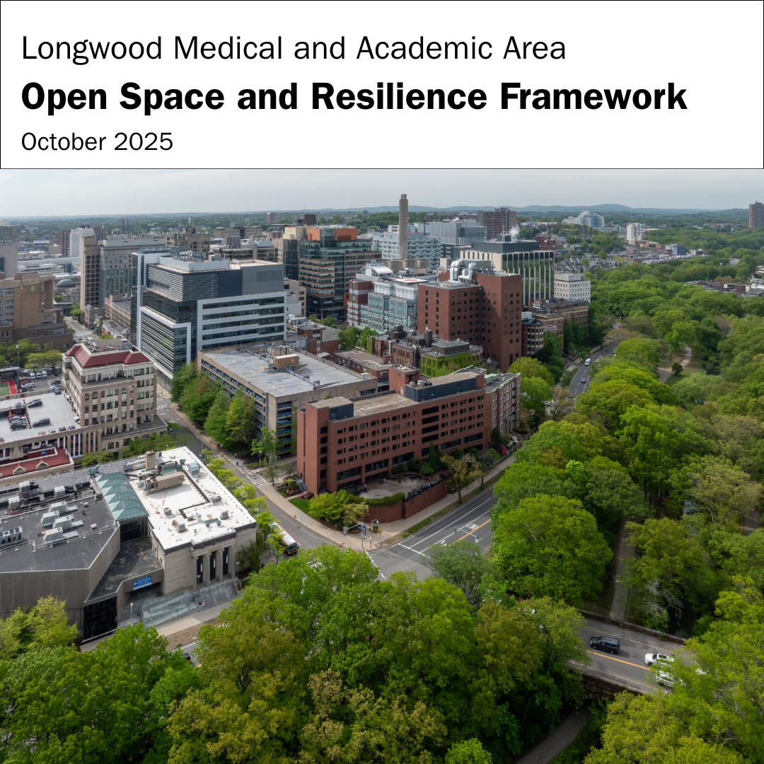 cover of the open space framework, including an aerial