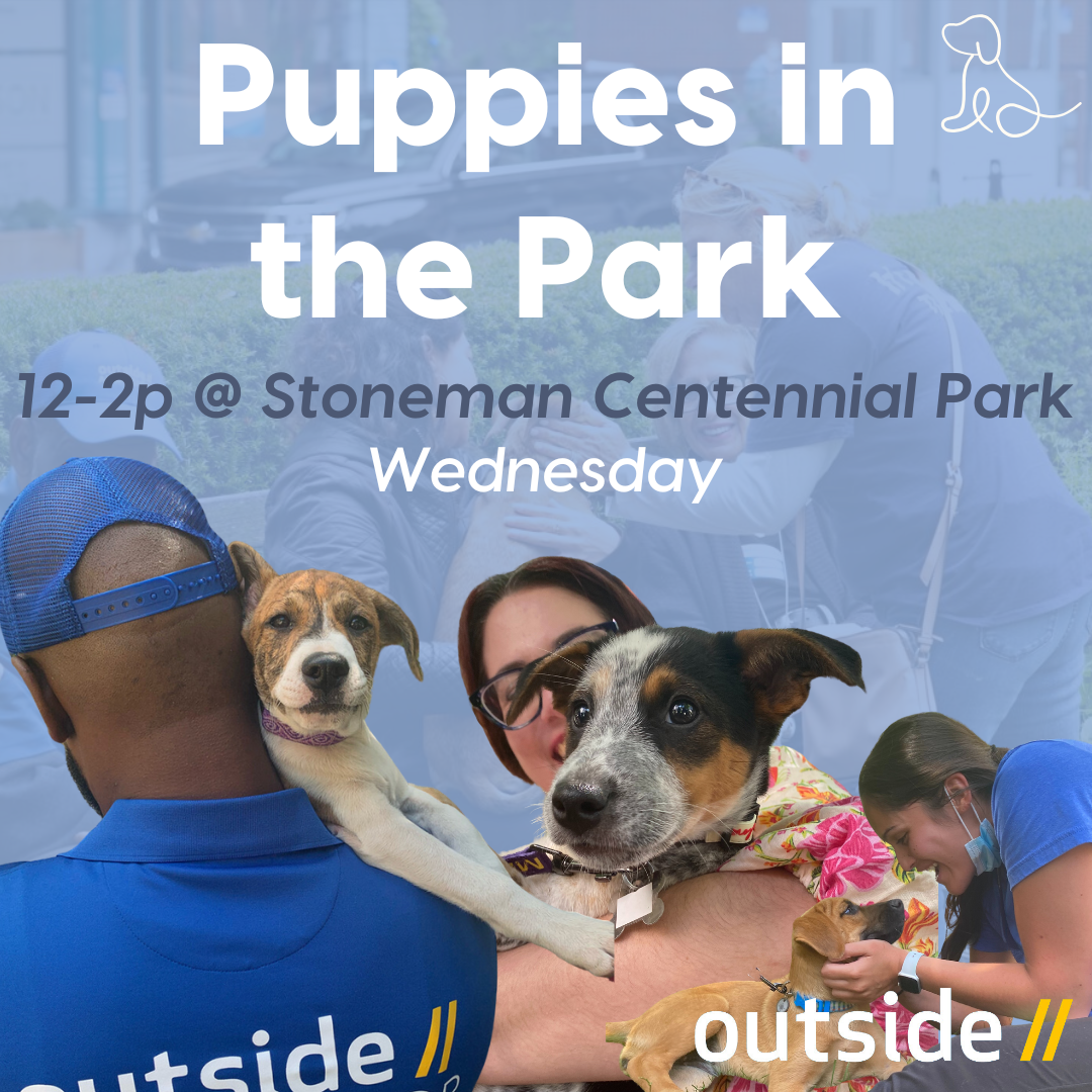 Puppies in the Park event 12 to 2pm on Wednesday at Stoneman Centennial Park
