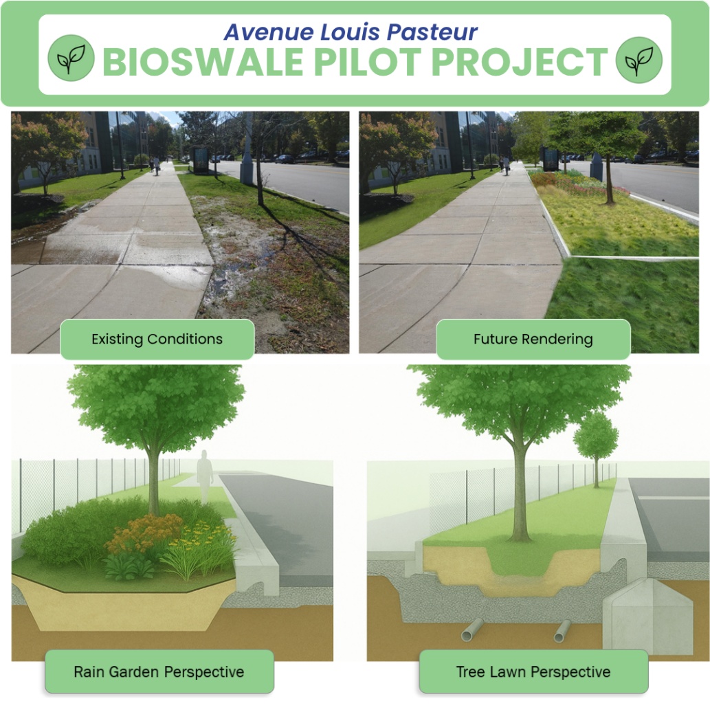 bioswale location including before and after, and rendering